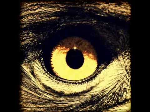 Dynamo Bliss - Eagle Has Landed (instrumental)