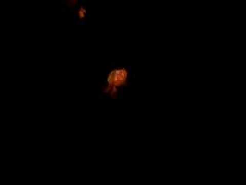 Andy C and Breakthru at The Custard Factory