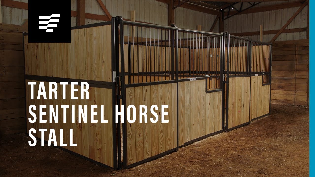 A woman leading a horse out of Tarter’s Sentinel Horse Stall