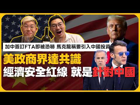 笑談中國經濟｜為何經濟媒體《華爾街日報》報導張又俠傳聞？｜加中簽訂FTA即被恐嚇｜馬克龍稱要引入中國投資｜外賣平台價格戰｜太陽能龍頭合虧損300億｜易力聲工運｜（#馮智政、Calvin Choy）