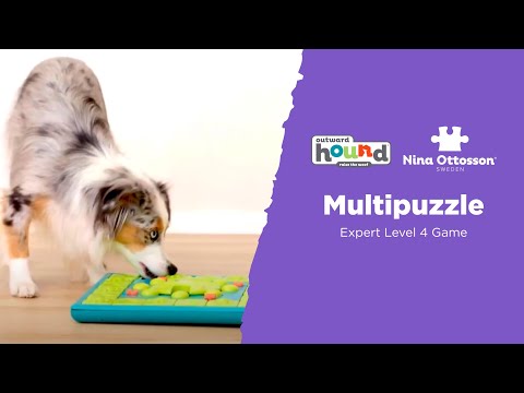 Nina Ottosson Multipuzzle Dog Puzzle Level 4 – Barkley's Marketplace