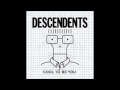 Descendents Mass Nerder with lyrics below