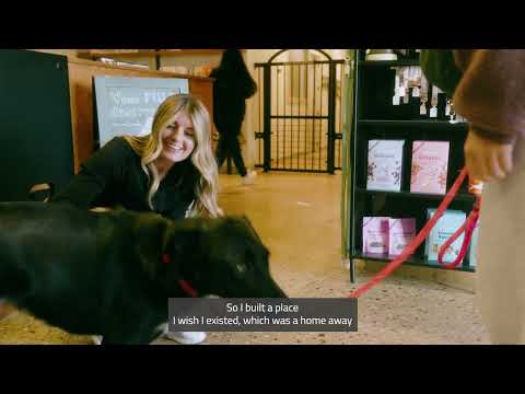 Welcome to Fella & Fetch