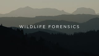 IDFG Presents | Wildlife Forensics