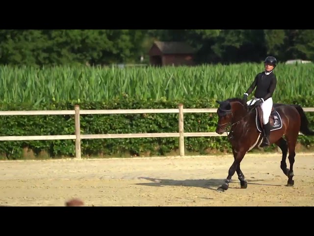 Riding and jumping movie Lanturano (Levi VDL x Canturan).