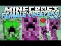 Minecraft | FEMALE CREEPERS MOD! (Creeper ...