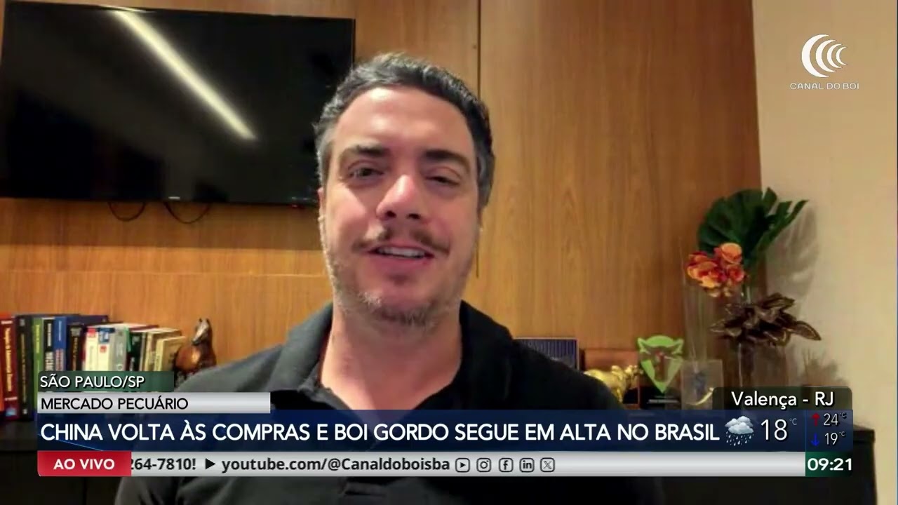 China volta às compras e boi gordo segue em alta no Brasil