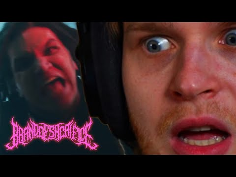 deathcore is finally getting exciting with Brand Of Sacrifice