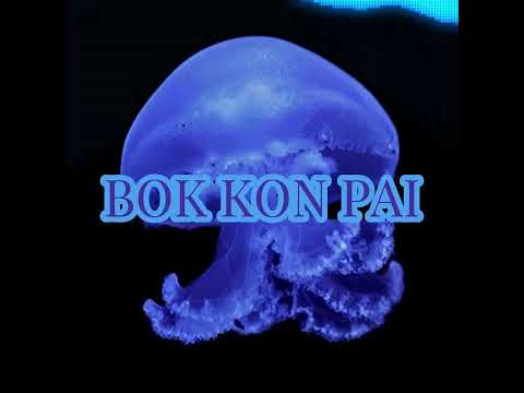 บอกก่อนไป - 6ZAX