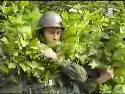 Kawaleria powietrzna - maskowanie