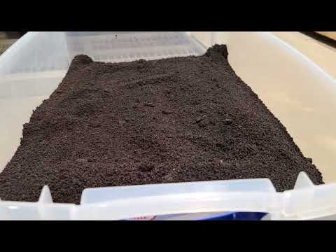 Vermicomposting 101: Turn Kitchen Waste into Garden Gold with Worm Power!