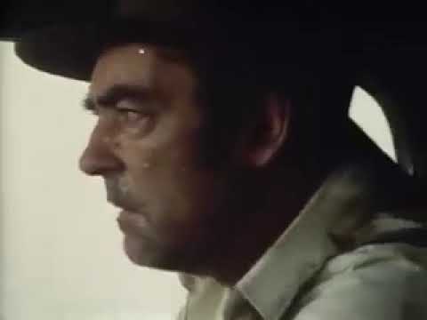 Tales of the Unexpected - Would You Believe It