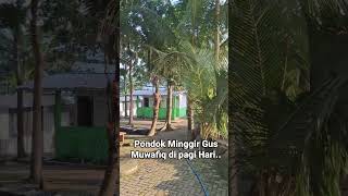 Download lagu Pondok Gus Muwafiq Di pagi hari #fyp#shortyt#beranda#gusmuwafiqterbaru#islamnusantara#nahdlatululama mp3 Download lagu Pondok Gus Muwafiq Di pagi hari #fyp#shortyt#beranda#gusmuwafiqterbaru#islamnusantara#nahdlatululama mp3