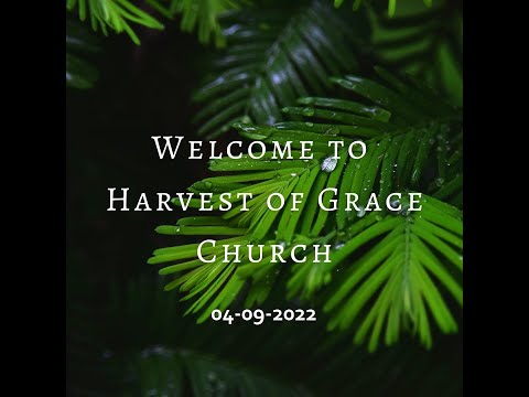 04092022 | HOGC | Sunday Service