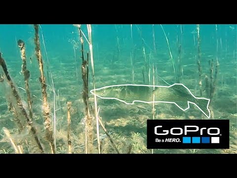 Pinnan alla- Sonnasen Hauki