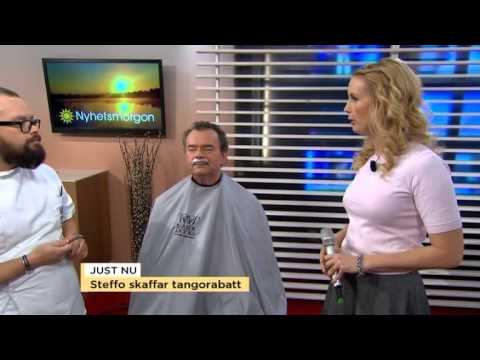 Här blir Steffos mustasch en tangorabatt - Nyhetsmorgon (TV4)