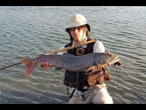 Taimen on the fly fishing in Mongolia