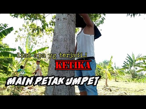 main-petak-umpet
