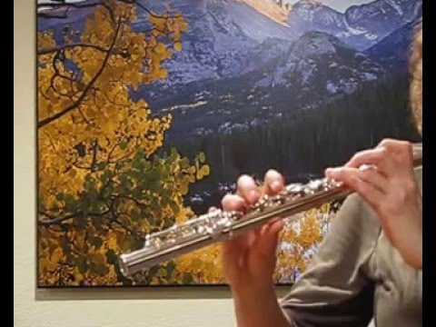 Yamaha 881 Flute with Yamaha Headjoint- High Demo