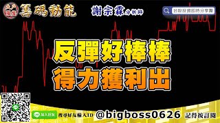【大戶羅盤籌碼動能】#謝宗霖0531，反彈好棒棒，得力獲利出 (圖)
