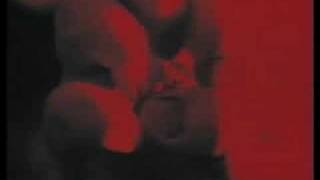 A C T U S - Apocalypse