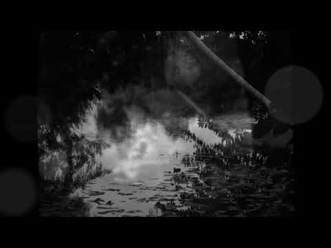 Tu Y La Lluvia video