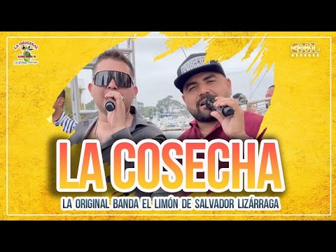 La Cosecha
