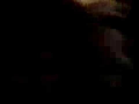 Norfolk Party 27/06/09