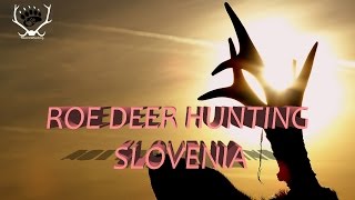 preview picture of video 'Hunting Roe Deer in Slovenia - Springtime - Lov v Sloveniji'