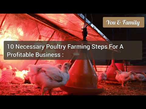 , title : 'Poultry Farming Business Plan | Chicken Raising Tips For Beginners'