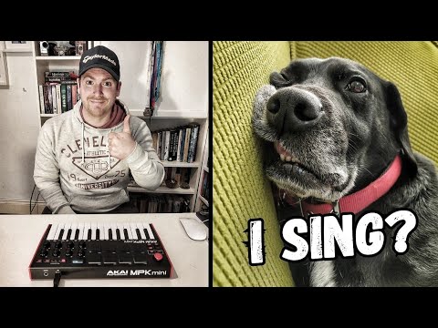 Me and My Dog Charlie Made A Song (The Kiffness Tribute)