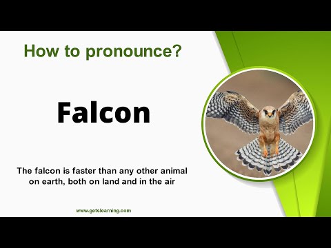 How to pronounce Falcon in English correctly