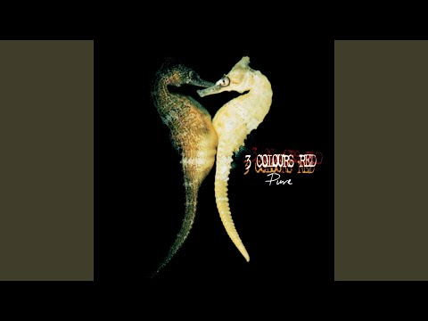 Nerve Gas video thumbnail