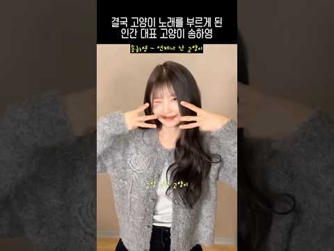 고양고양고양이중독