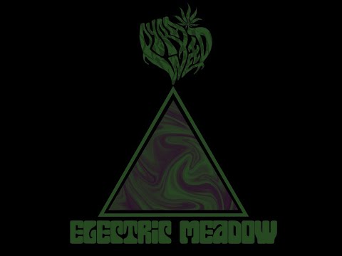 PYRAWEED - Electric Meadow 2018 full album