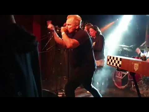 Licht An! (Dummheit Stirbt Nie Aus) - Plastic Skanksters - Live June 22nd 2019