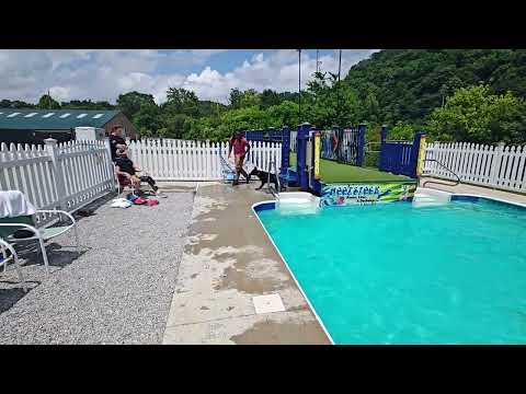 Swimming Fun With "Donnor" At The Pool