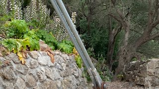 Live in Gibraltar- Carnival Venezia Port of Call