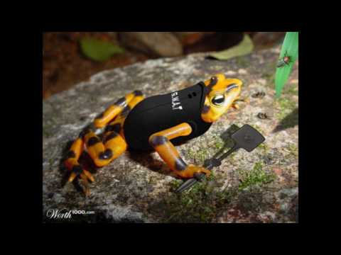 Dandi & Ugo - Sra Portouges (Andy Kohlmann Remix)