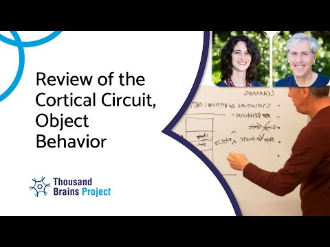 2025/02 - Review of the Cortical Circuit, Object Behavior