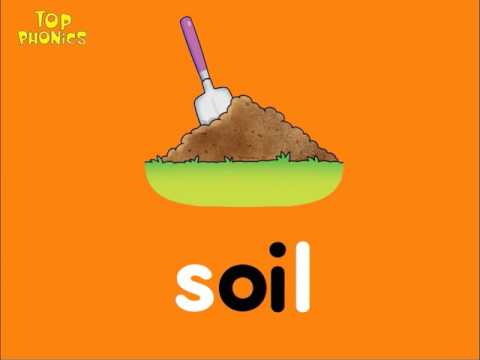 Top Phonics 6 Review All Sounds - Unit 8 Words to Read A - oi · oy - Double Letter Vowels