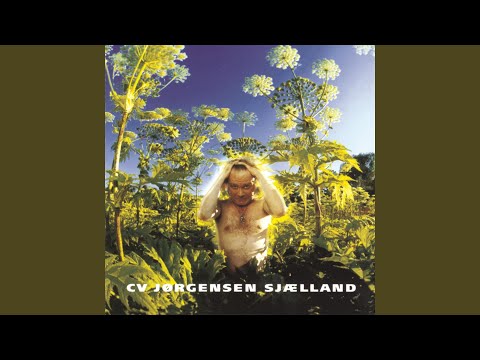 Ude Af Sync - C.V. Jørgensen