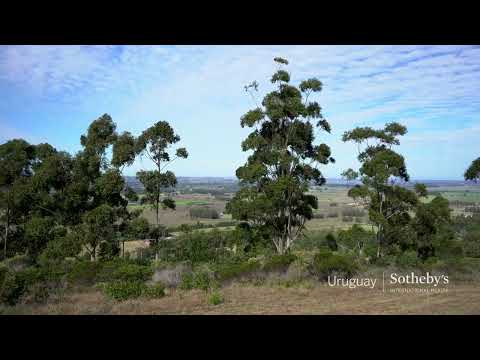 Chacra de 6.9 ha en Las Vertientes, Punta Ballena.