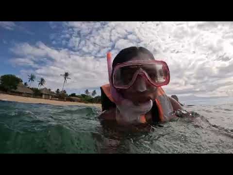Mirissa Snorkeling and Underwater Marine Life