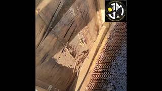 متابعة الخلايا وتقديم المساعدة لها قبل دخول الايام الباردة 