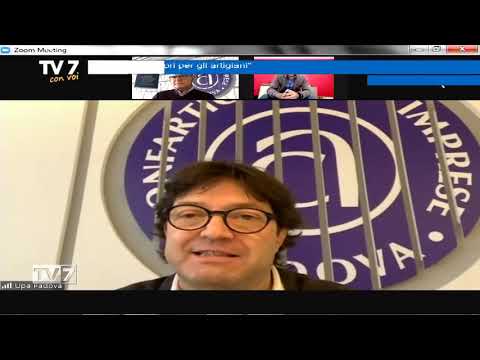 Tv7 con Voi del 11/11/2020 - Decreto ristori per gli artigiani (3 di 3)