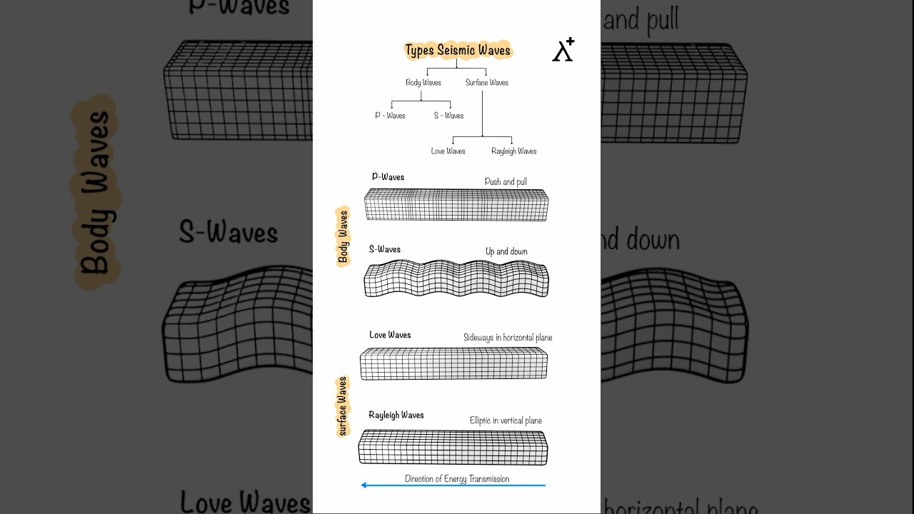 Types of Seismic Waves 🌍💥