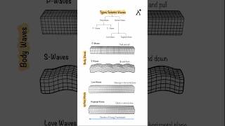 Types of Seismic Waves 🌍💥
