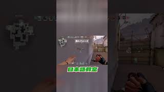自称日本人の外国人に正しい日本語を教えました【#VALORANT】
