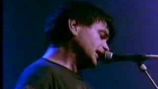 The Wedding Present Give My Love To Kevin live